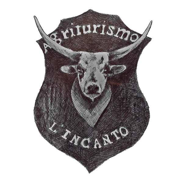 Logo Incanto web 1